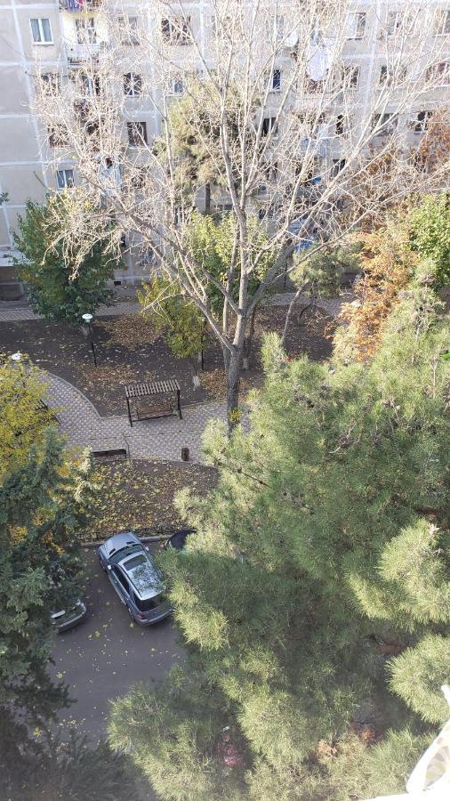 Lovely Apartment Тбилиси Экстерьер фото